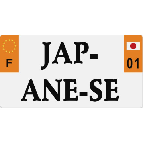 Plaque Immatriculation Personnalisée 33x16.5 Taille Japonaise Auto