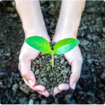 Développement durable