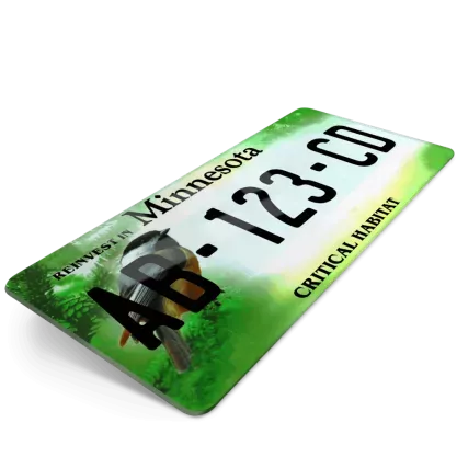 717484_6