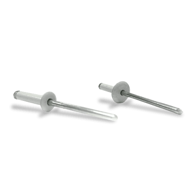 Paire de rivets blancs