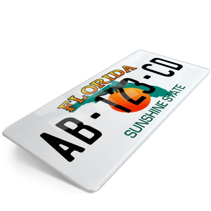 PLAQUE AUTO USA FLORIDA 30x15 cm