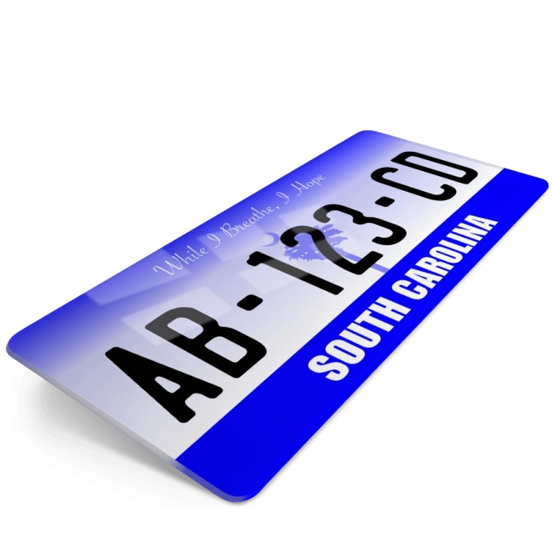 PLAQUE AUTO USA SOUTH CAROLINA 2 30x15 cm